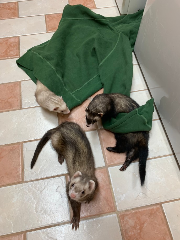 79BB60AC-7927-4EFF-907F-04DD634BA45C