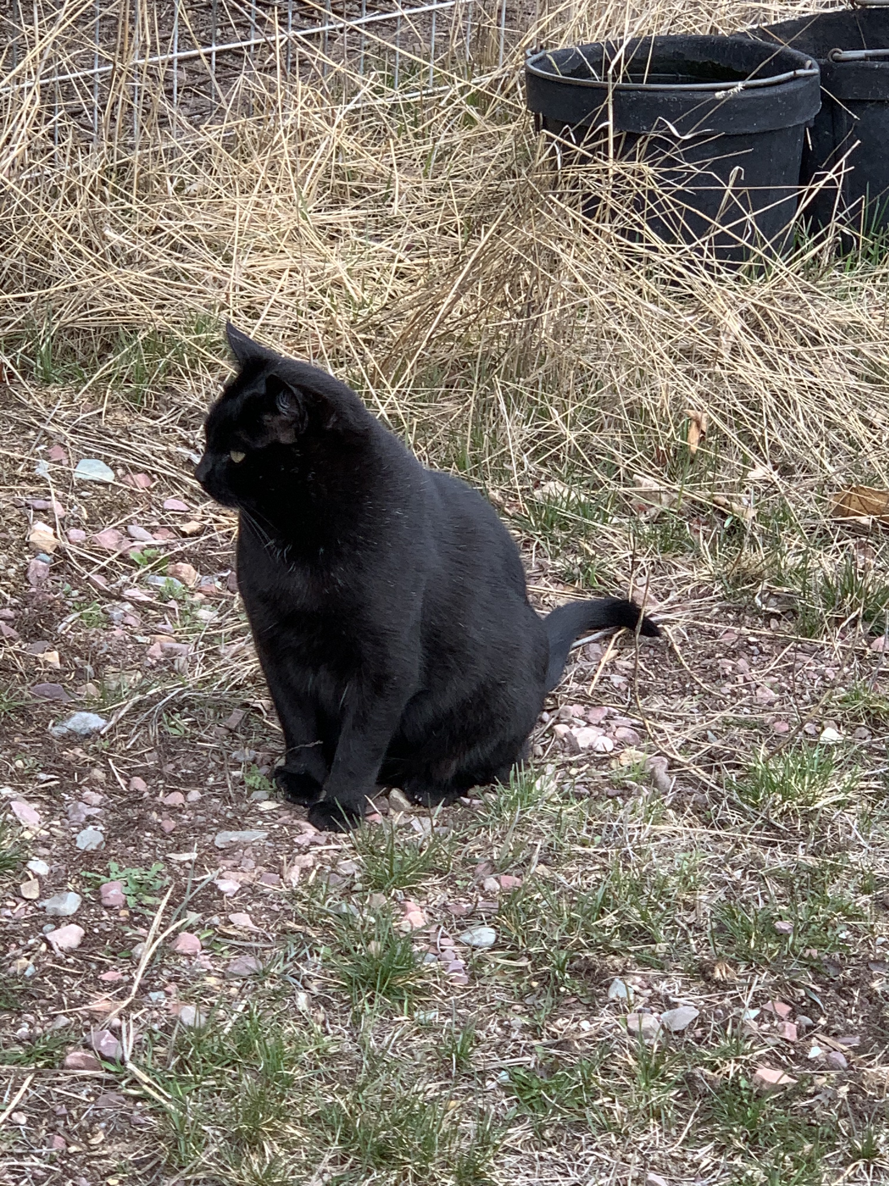 8955051F-4364-457E-B32D-5AC8E35BDD17