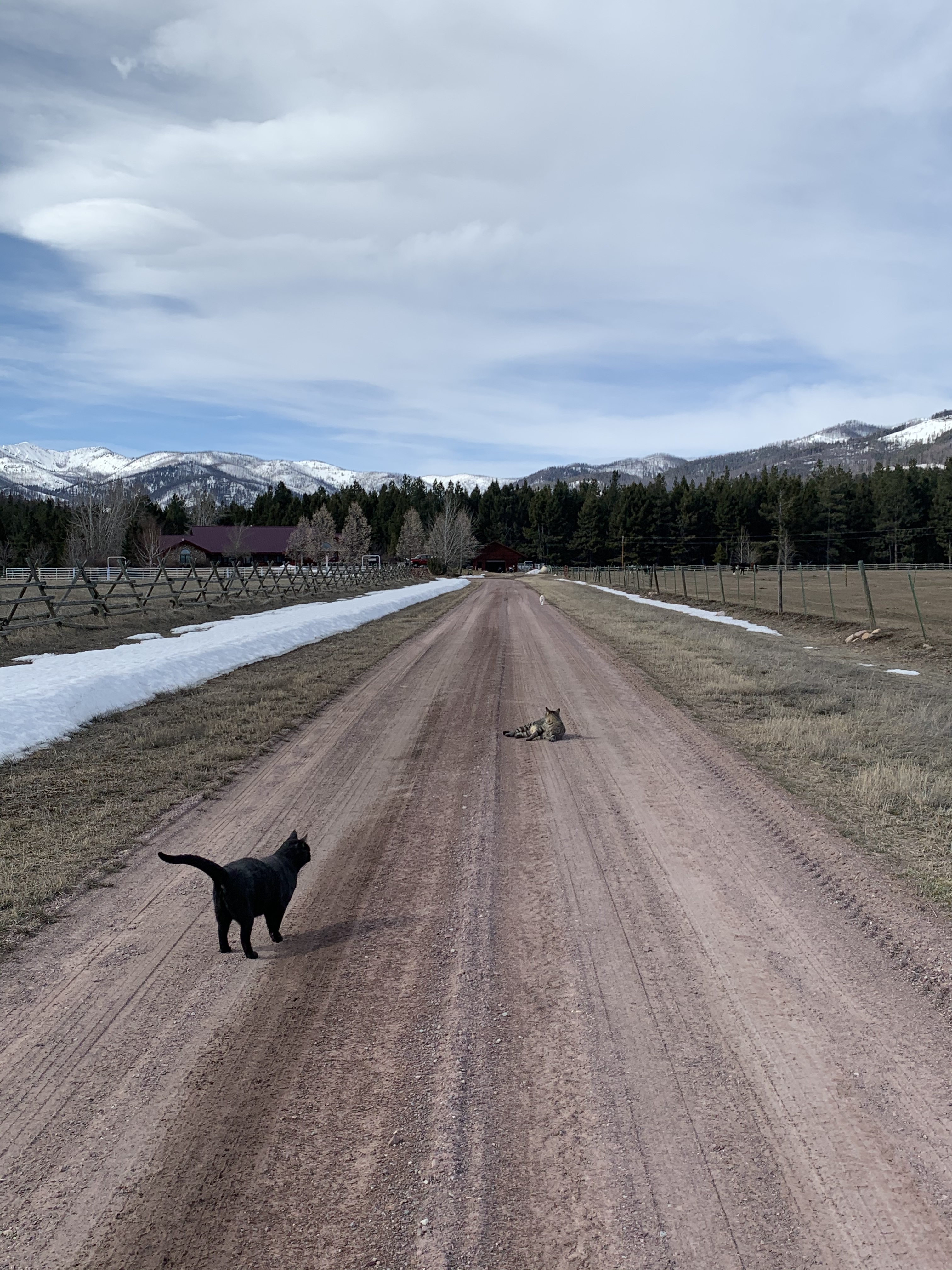 F73388A2-1CC1-4D63-8965-98C39D905A3B