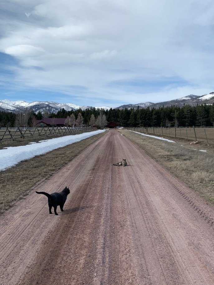 F73388A2-1CC1-4D63-8965-98C39D905A3B